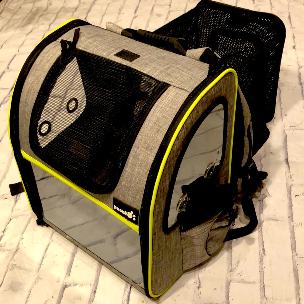 Pecute Cat 🐈 Backpack 🎒